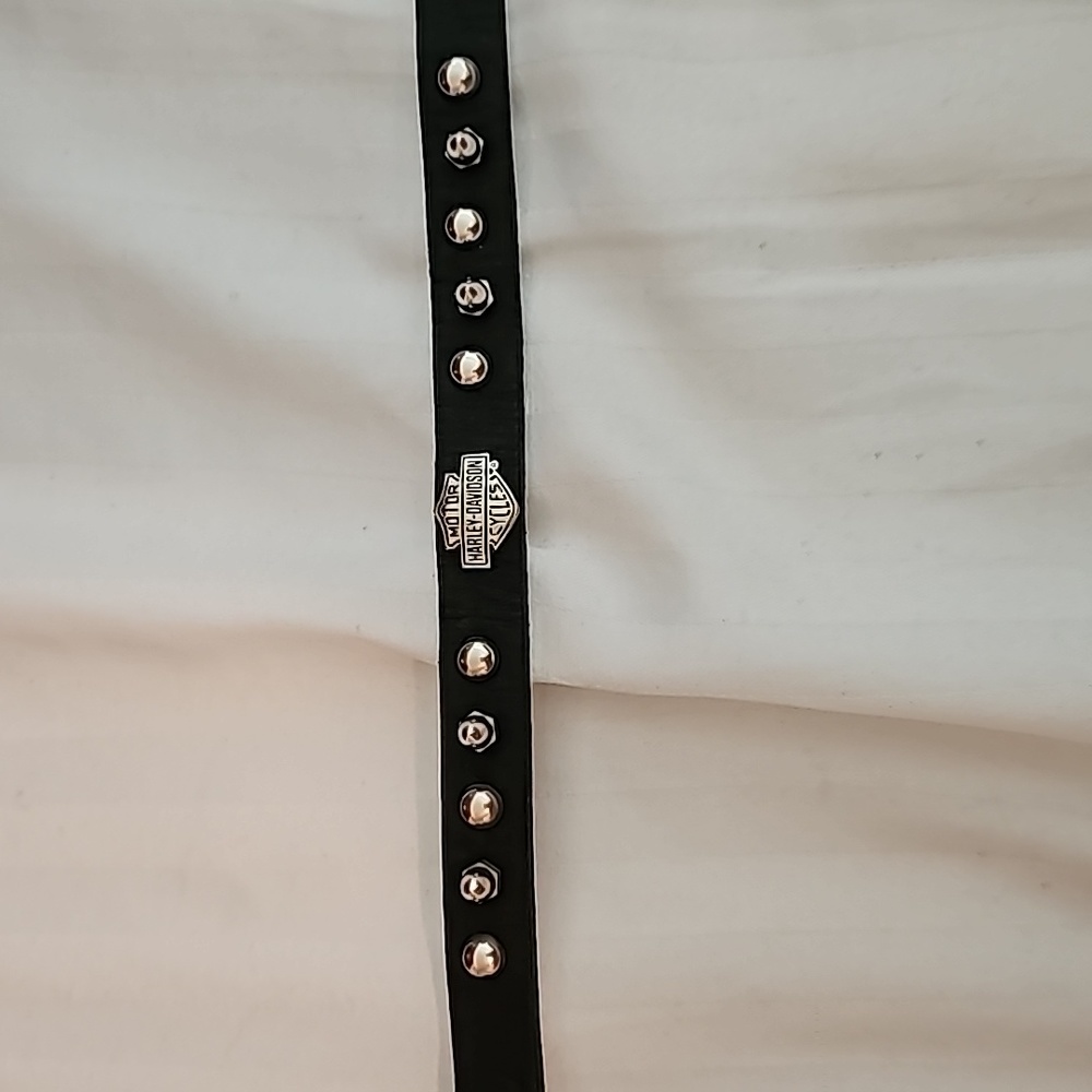 Harley Davidson Dog Collar